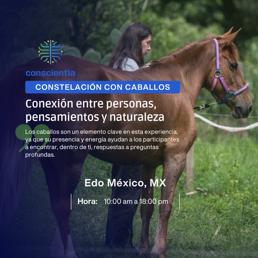 Constelación con Caballos | 2 Coterapeutas (MXN)